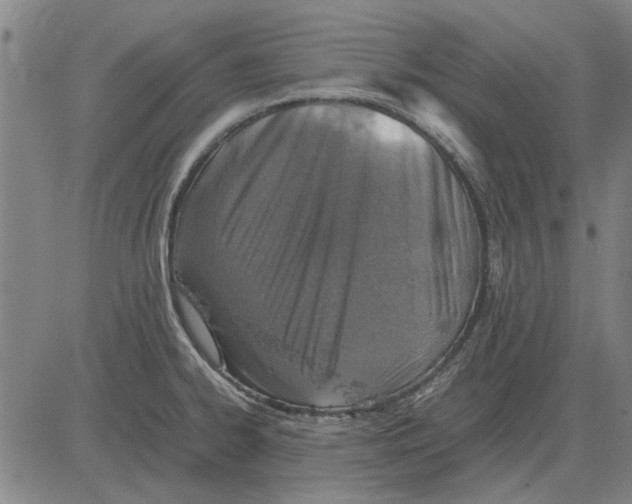 X0000083661334200703121801