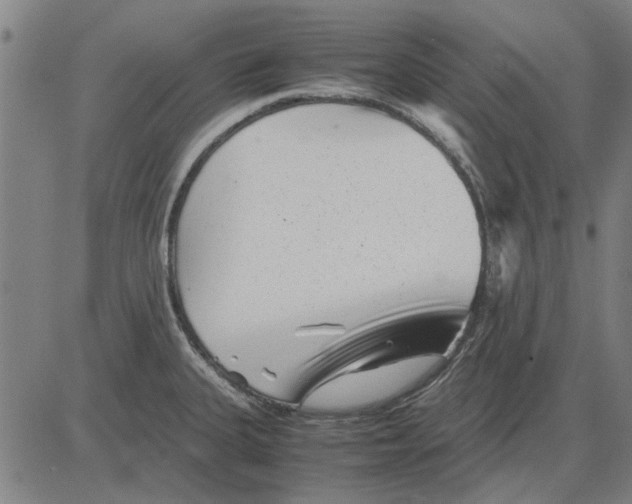 X0000083661335200703121801