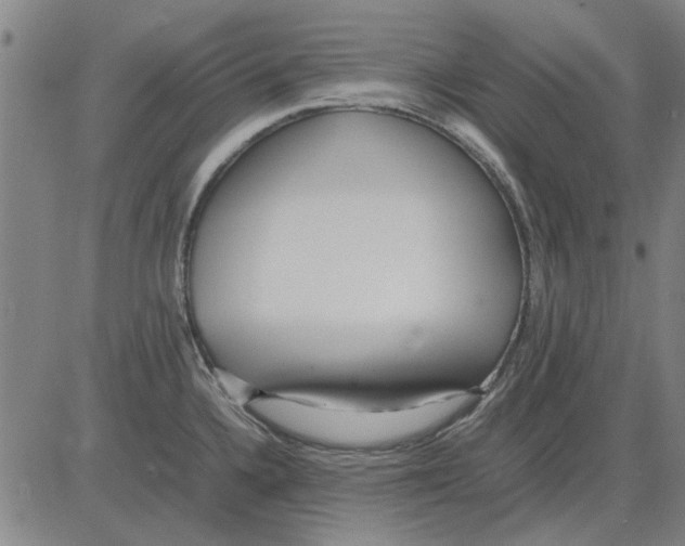 X0000083661336200703121801