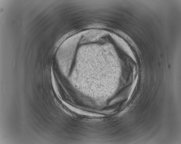 X0000083661337200703121801