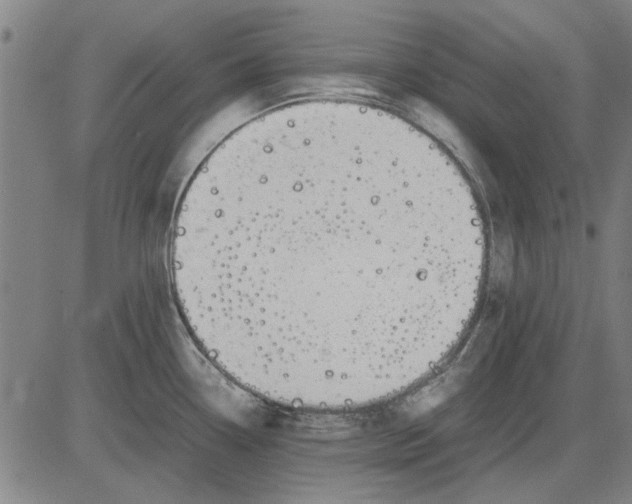 X0000083661338200703121801