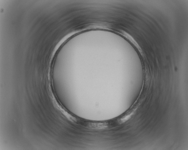 X0000083661339200703121801