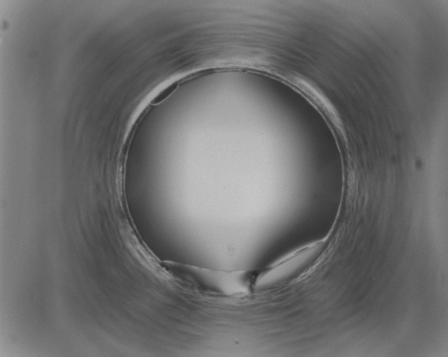 X0000083661340200703121801