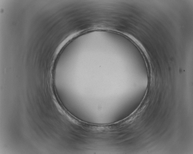 X0000083661341200703121801