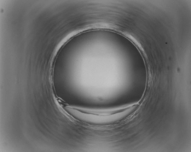 X0000083661342200703121801