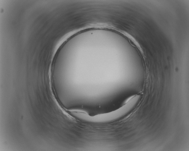 X0000083661343200703121801