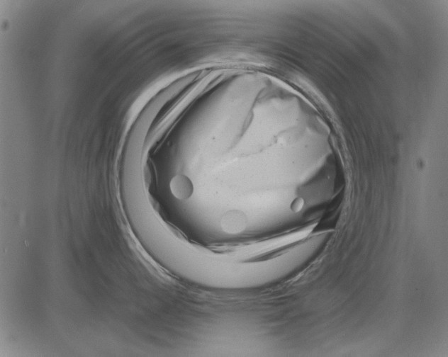 X0000083661344200703121801