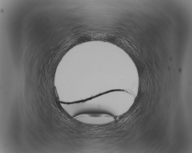 X0000083661345200703121801