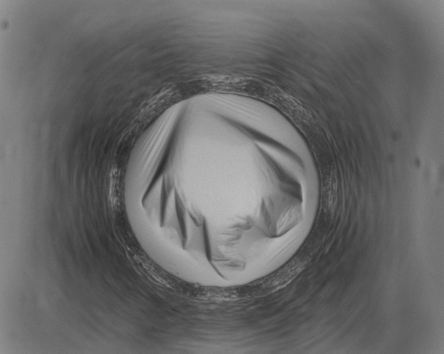 X0000083661346200703121801