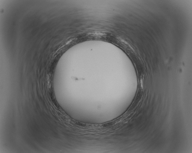 X0000083661347200703121801