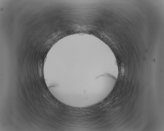 X0000083661348200703121801