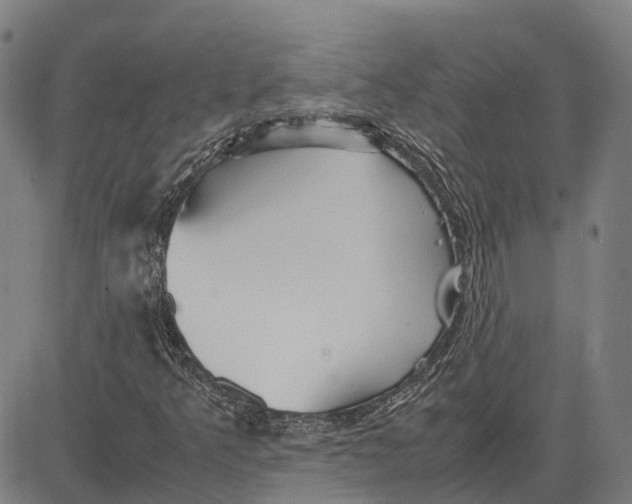 X0000083661349200703121801