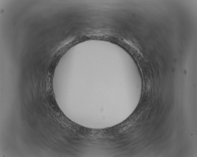 X0000083661350200703121800