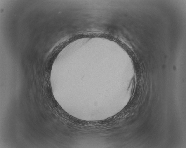 X0000083661351200703121800