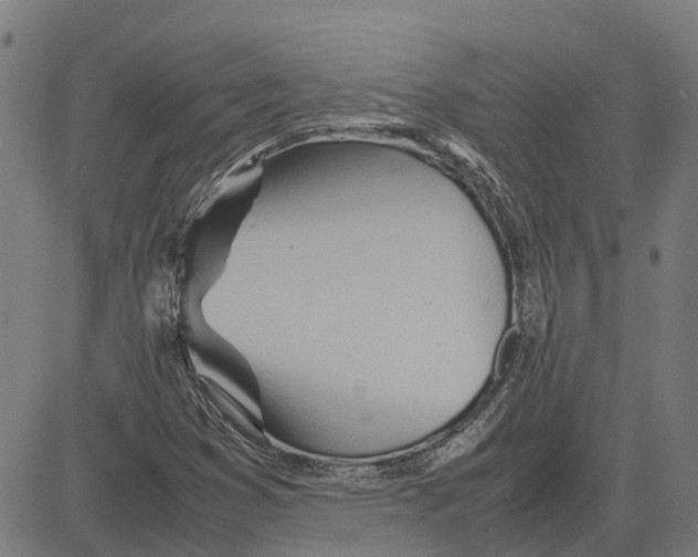 X0000083661353200703121800