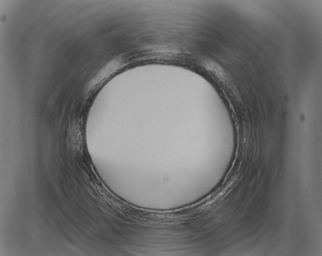 X0000083661354200703121800