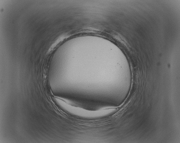 X0000083661355200703121800