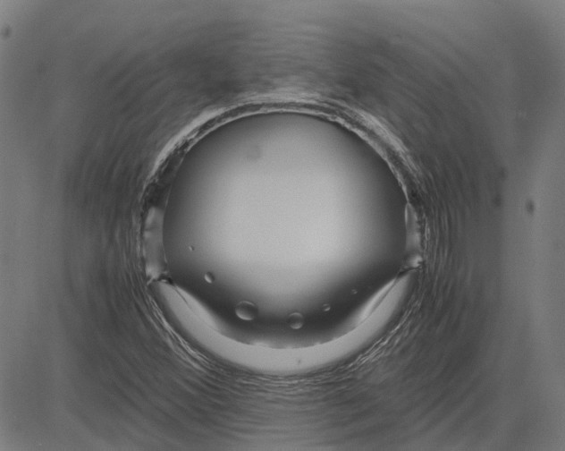 X0000083661356200703121800