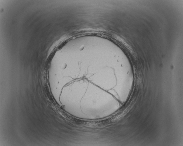 X0000083661357200703121800