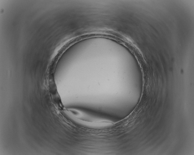 X0000083661360200703121800