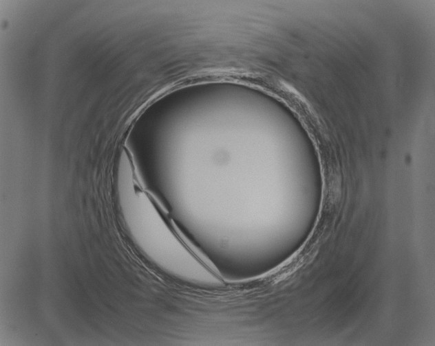 X0000083661361200703121800