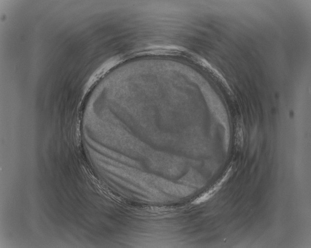 X0000083661362200703121800