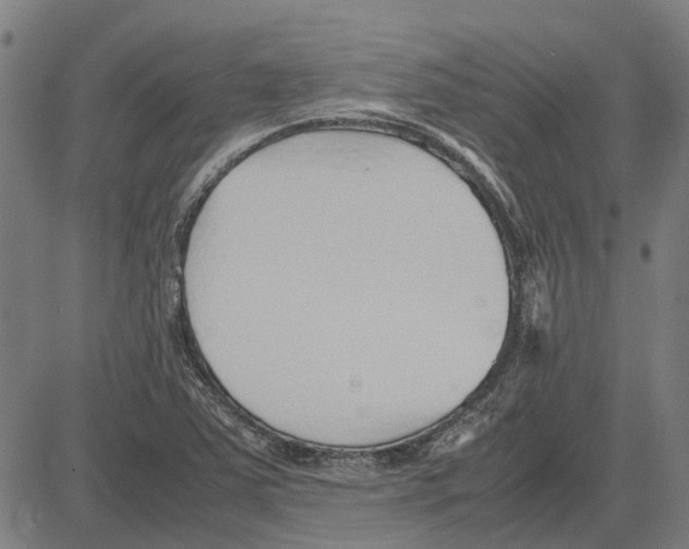 X0000083661363200703121800