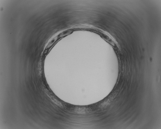 X0000083661364200703121800