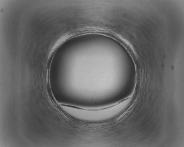 X0000083661365200703121800