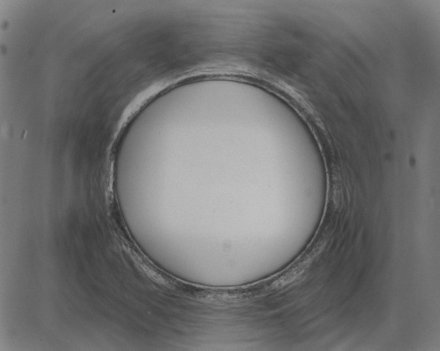 X0000083661366200703121800