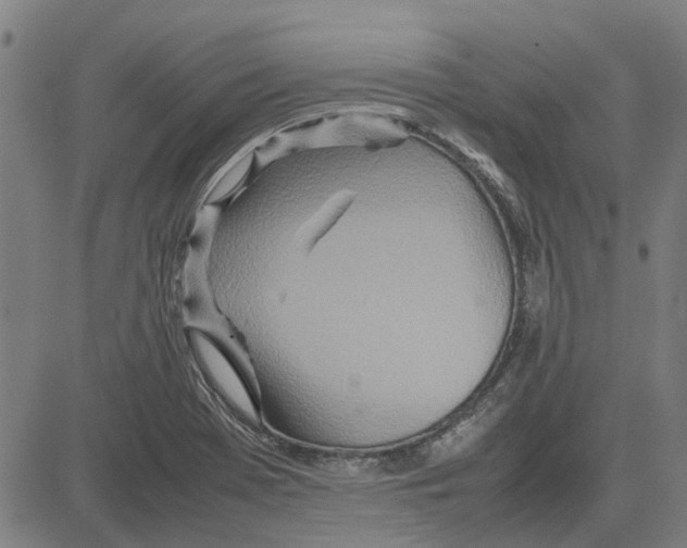 X0000083661369200703121800