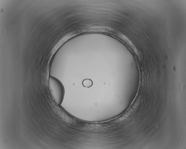 X0000083661370200703121800