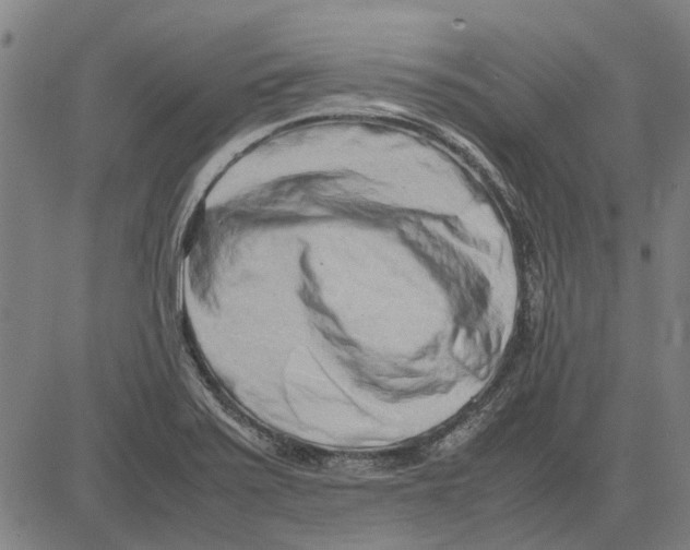 X0000083661371200703121800