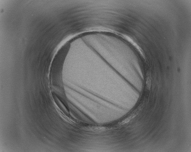 X0000083661372200703121800