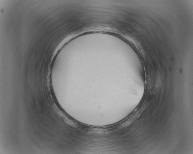 X0000083661374200703121800