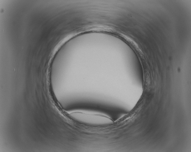 X0000083661375200703121800