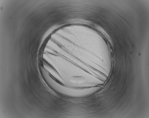 X0000083661376200703121800