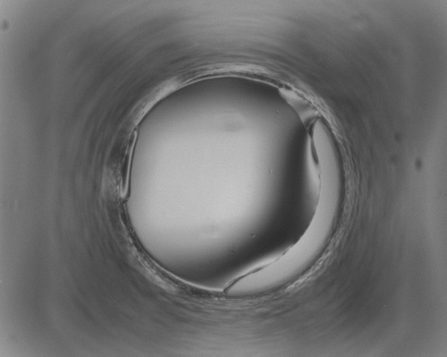 X0000083661377200703121800