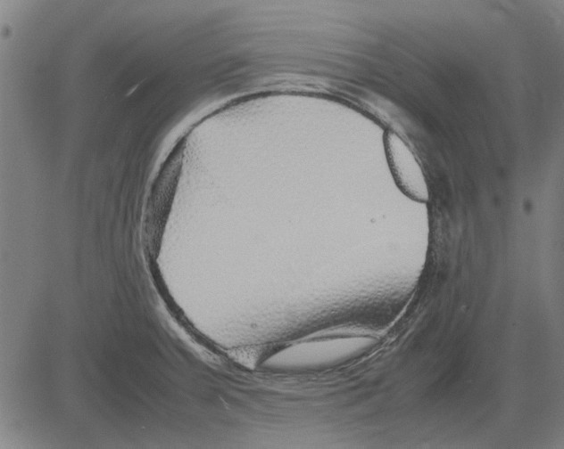 X0000083661379200703121800