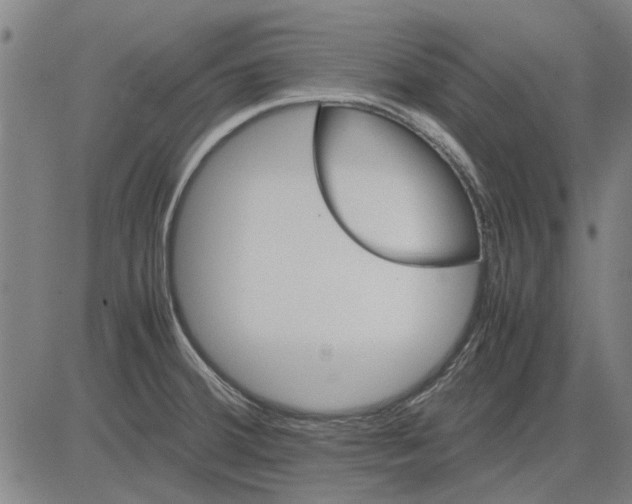 X0000083661380200703121800