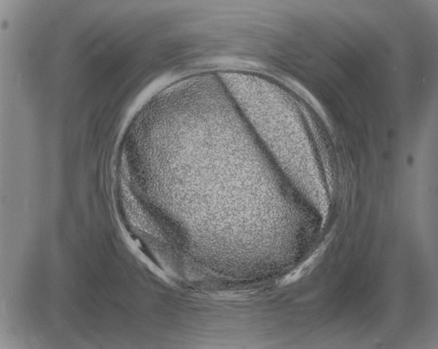 X0000083661381200703121800