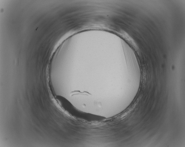 X0000083661382200703121800