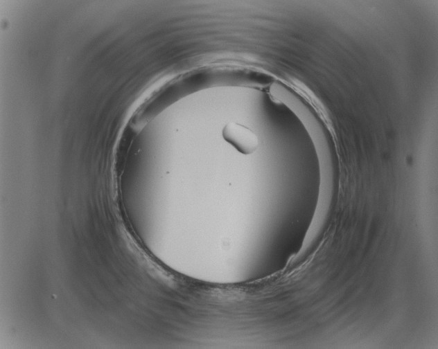 X0000083661384200703121800