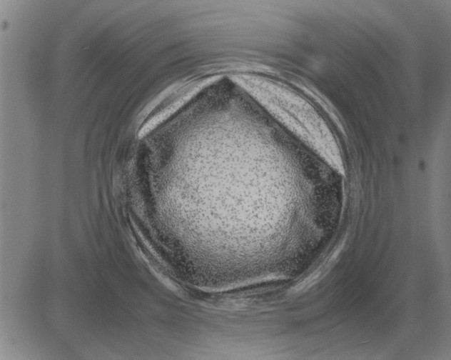 X0000083661385200703121800