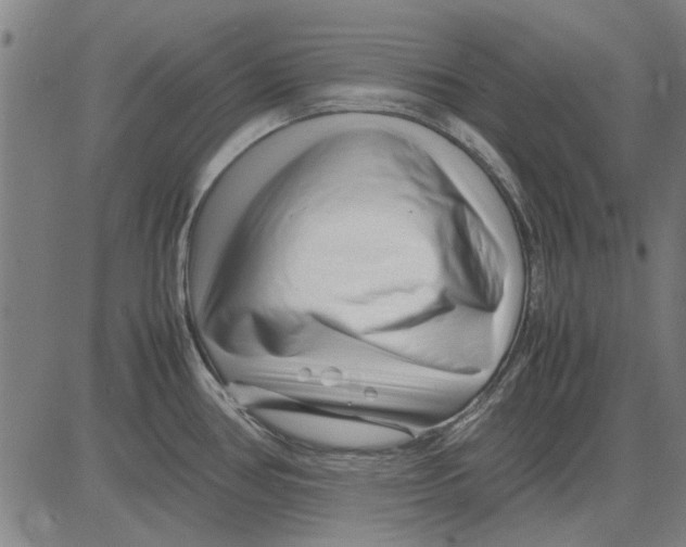 X0000083661386200703121800