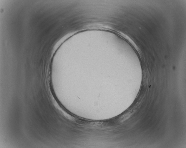 X0000083661387200703121800