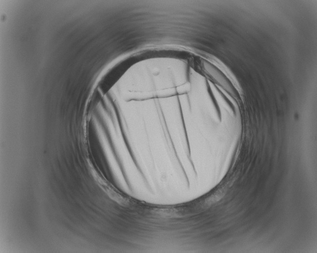 X0000083661388200703121800