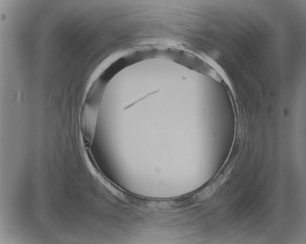 X0000083661389200703121800