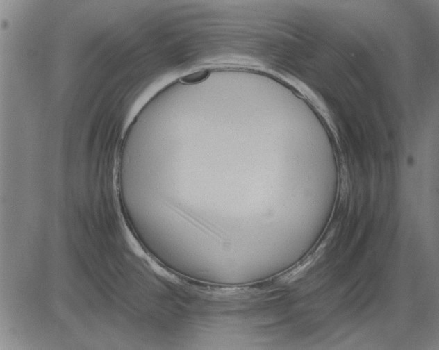 X0000083661390200703121800