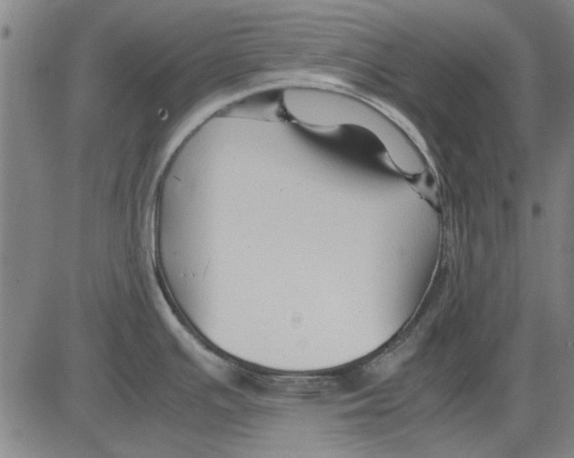 X0000083661391200703121800